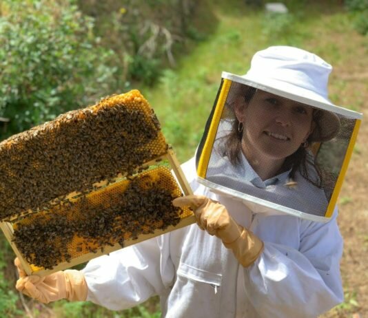 Весеннее пчеловодство: пасечные задачи на новый сезон